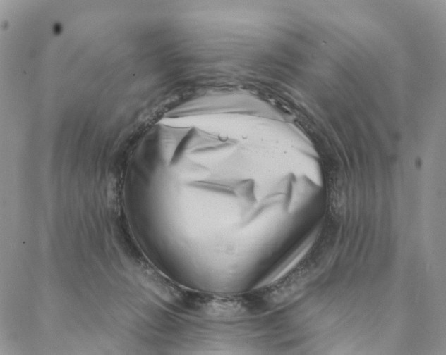 X0000088360270200706121102