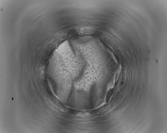 X0000088360271200706121102