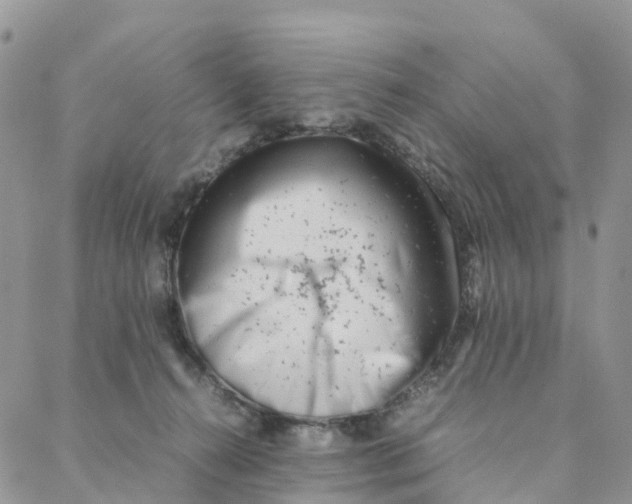 X0000088360272200706121102