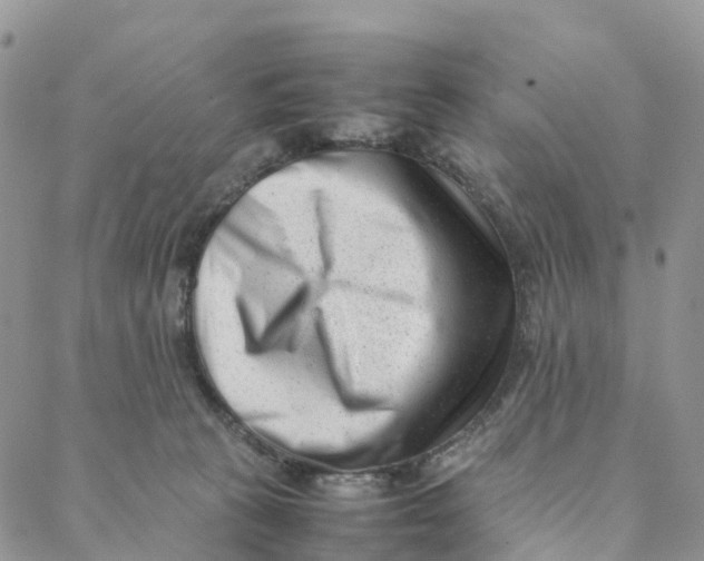 X0000088360273200706121102