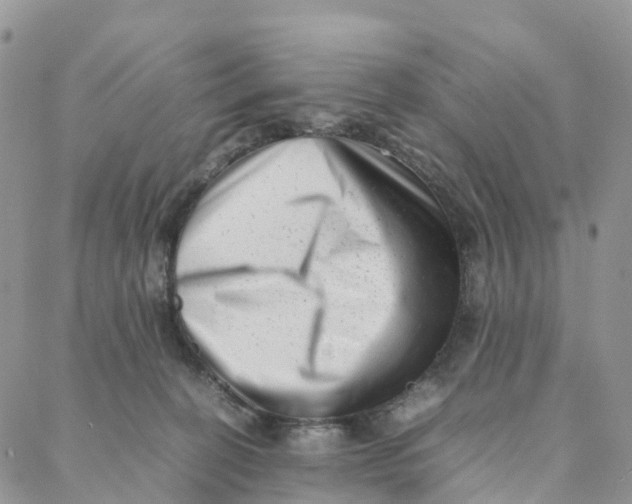 X0000088360274200706121102