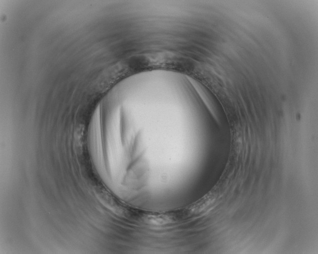 X0000088360275200706121102