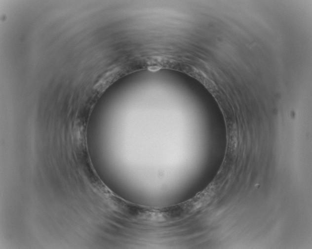 X0000088360276200706121102