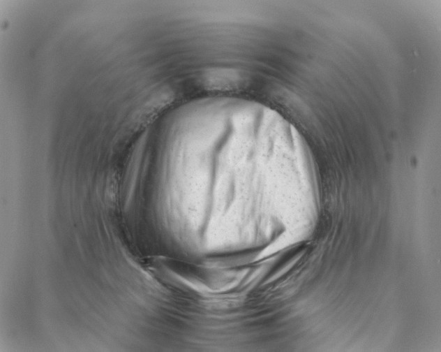 X0000088360277200706121103