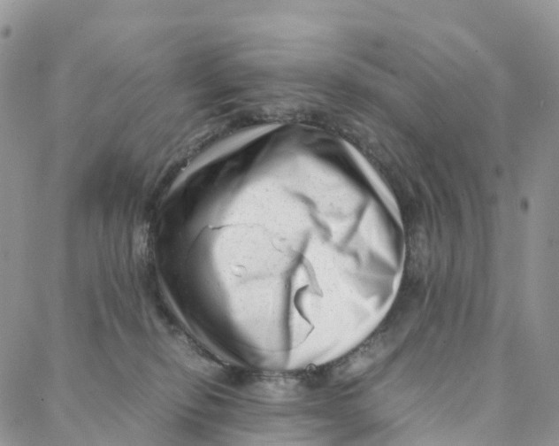 X0000088360278200706121103
