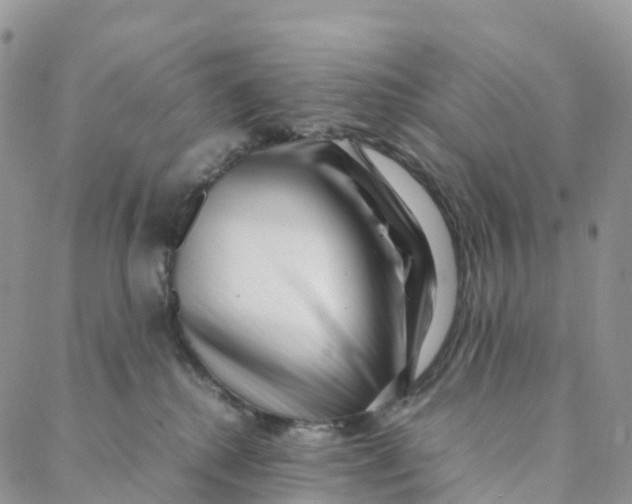 X0000088360280200706121103