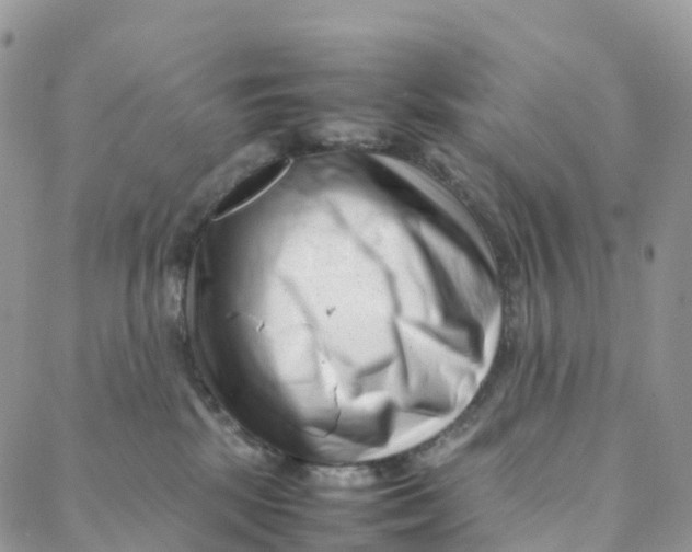 X0000088360281200706121103
