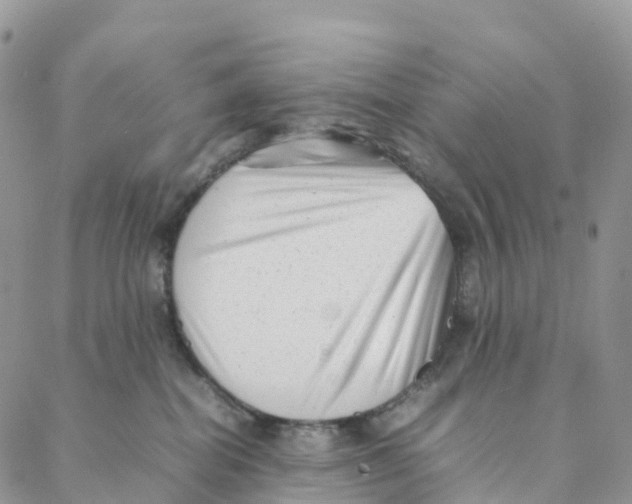 X0000088360282200706121103