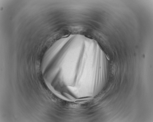 X0000088360283200706121103