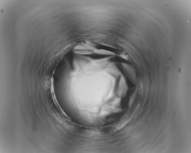 X0000088360284200706121103