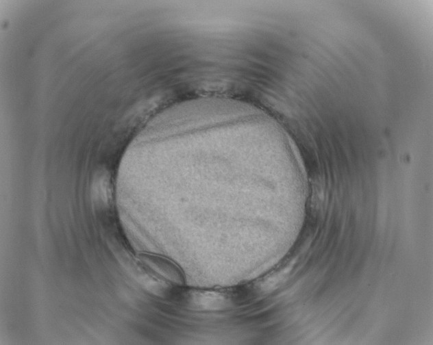 X0000088360287200706121103