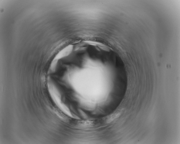 X0000088360288200706121103