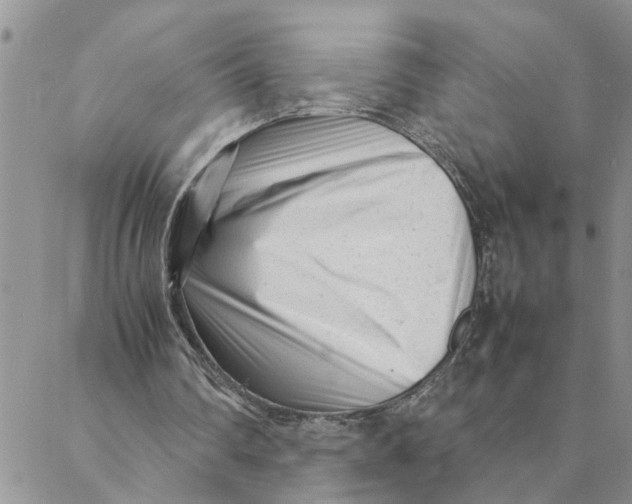 X0000088360290200706121102