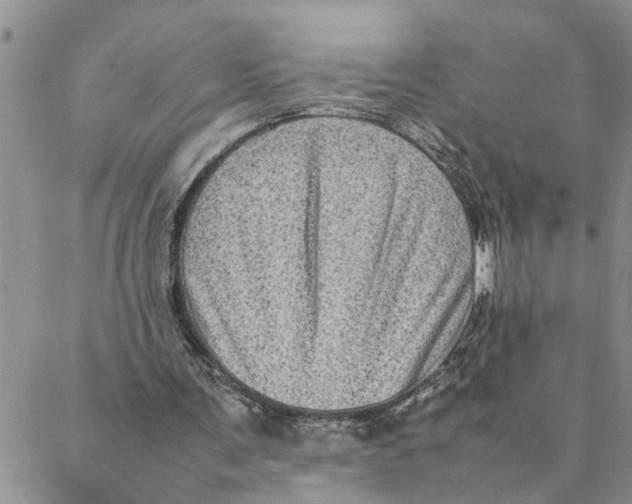 X0000088360291200706121102