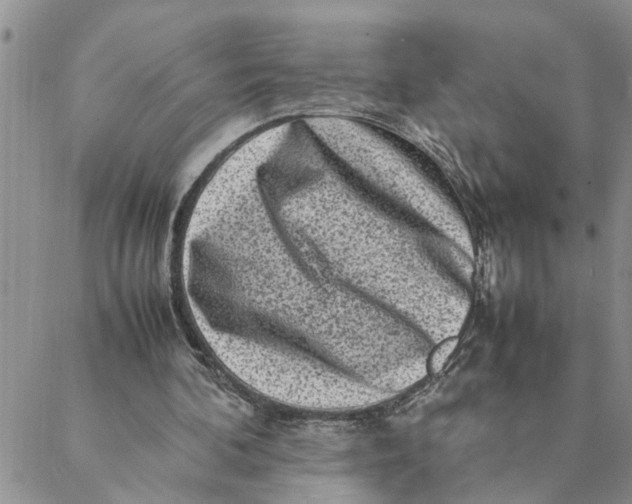 X0000088360292200706121102