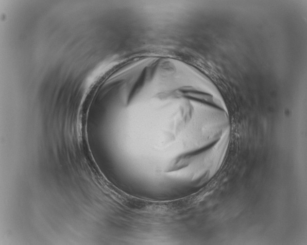 X0000088360294200706121102