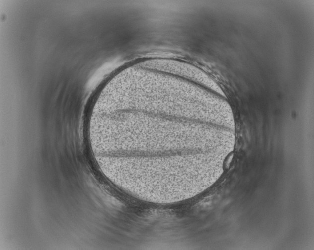 X0000088360296200706121102