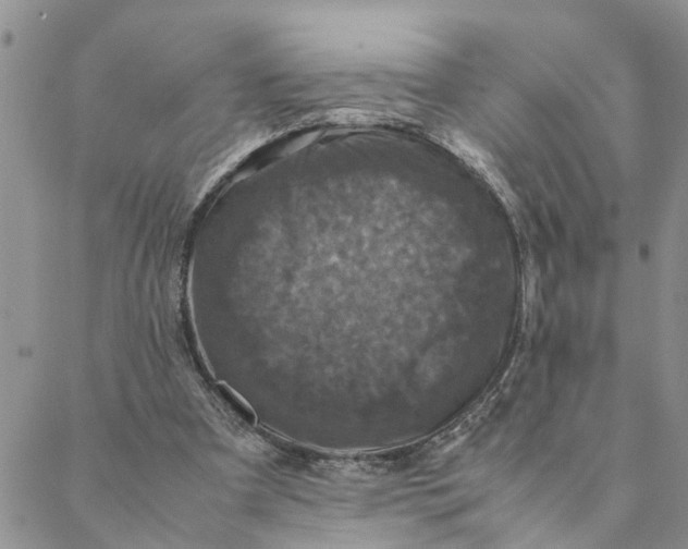 X0000088360297200706121102