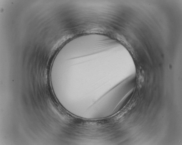 X0000088360298200706121102