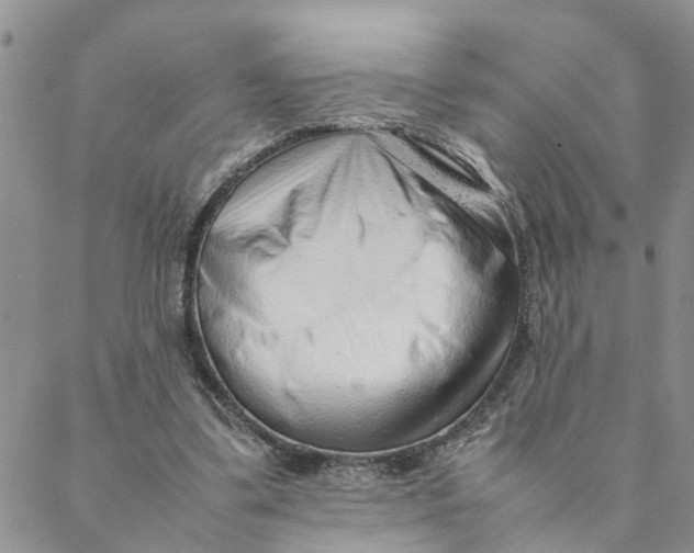 X0000088360299200706121102