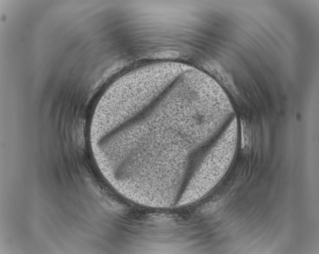 X0000088360300200706121102