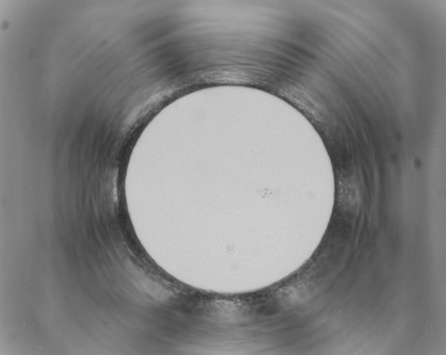 X0000088360302200706121102