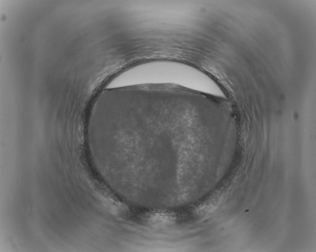 X0000088360303200706121102