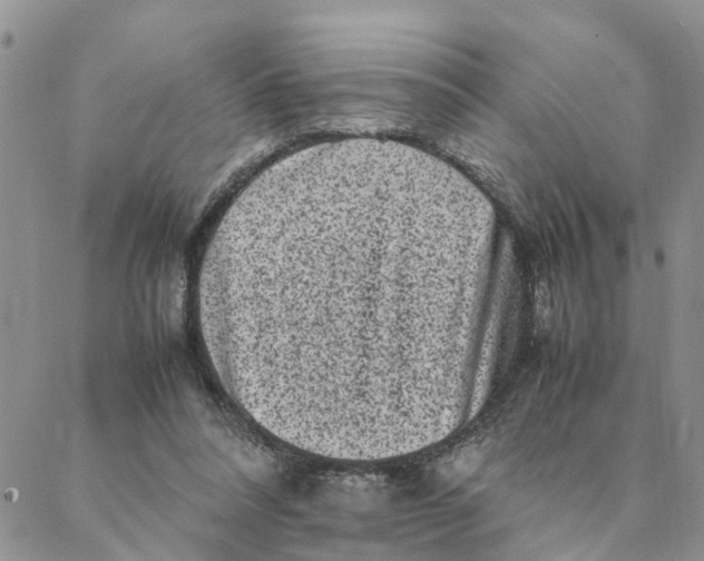 X0000088360304200706121102