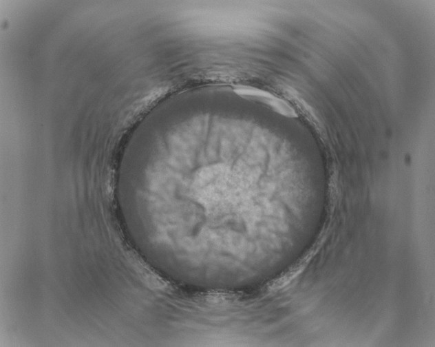 X0000088360305200706121102