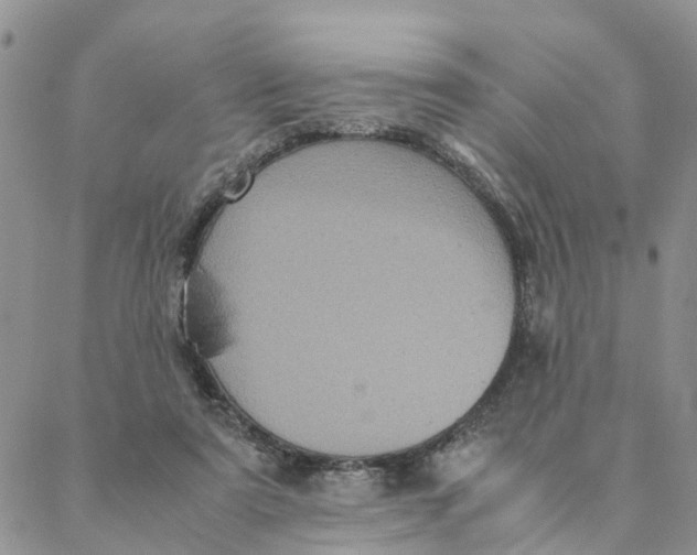 X0000088360307200706121102