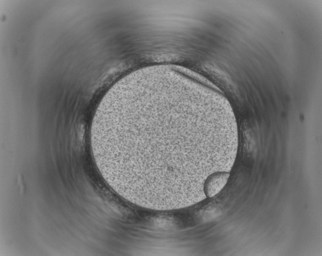 X0000088360308200706121102