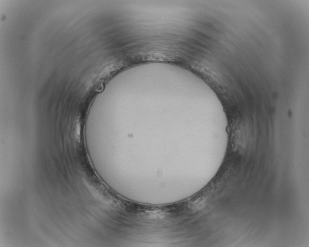 X0000088360310200706121102