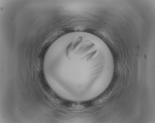 X0000088360311200706121102