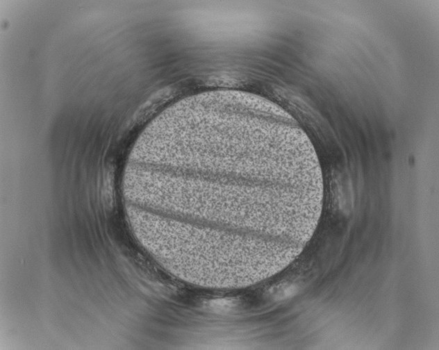 X0000088360312200706121102