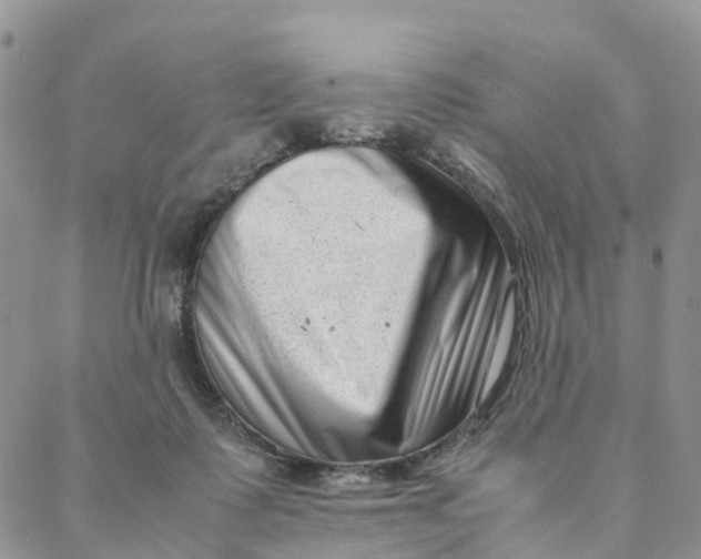 X0000088360315200706121101