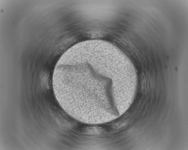 X0000088360316200706121101