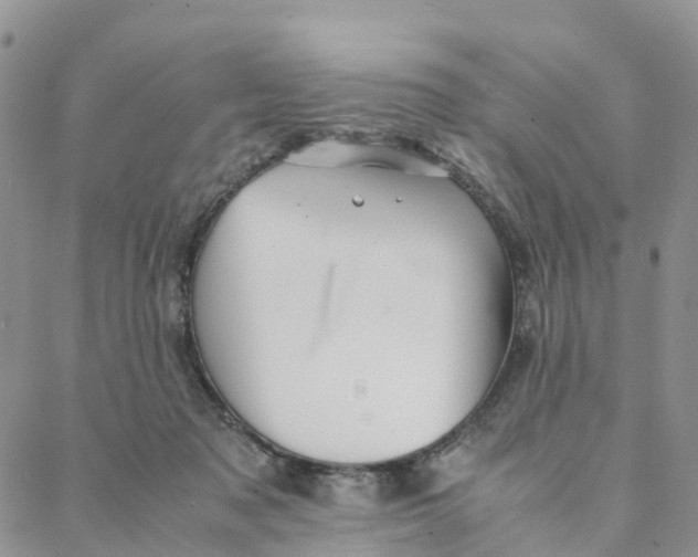 X0000088360317200706121101