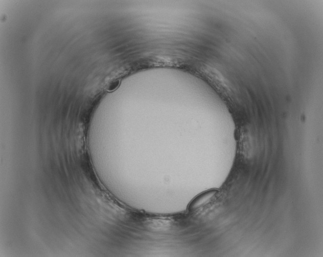 X0000088360318200706121101