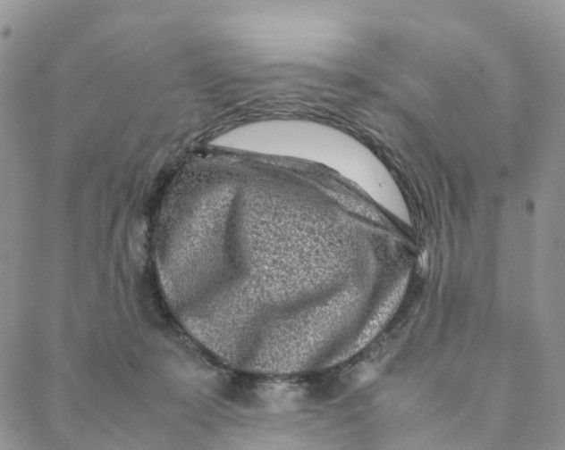 X0000088360319200706121101