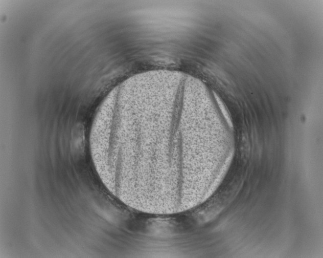 X0000088360320200706121101