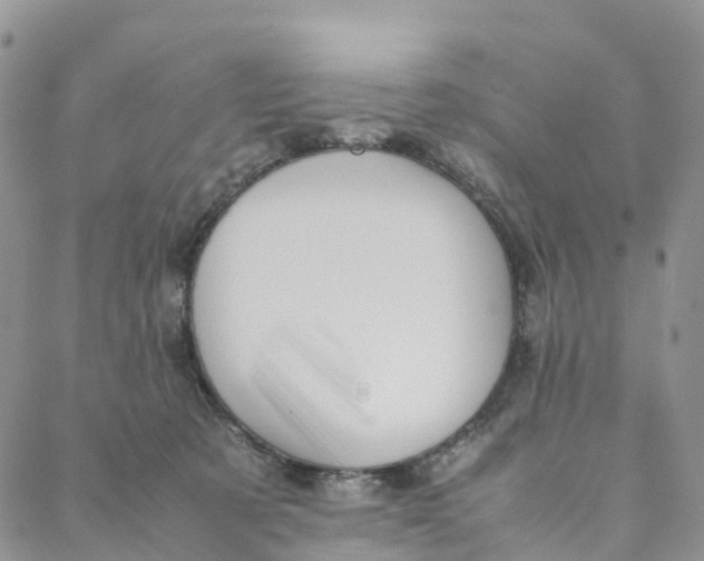 X0000088360321200706121101