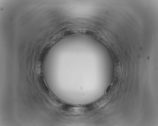 X0000088360323200706121101