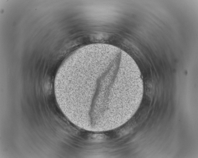 X0000088360324200706121101