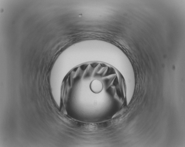 X0000088360325200706121101