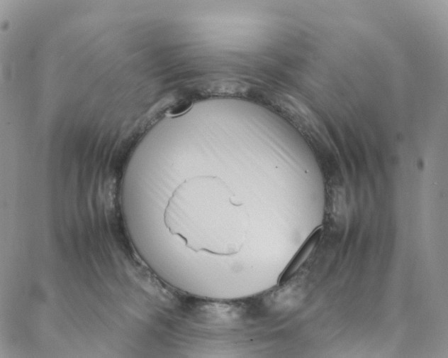 X0000088360326200706121101