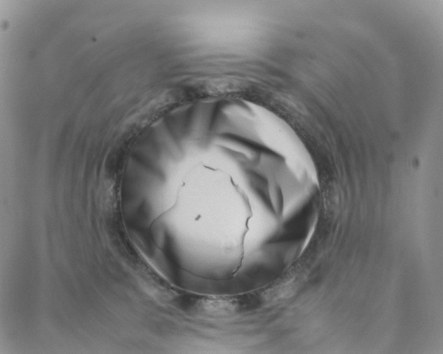 X0000088360327200706121101