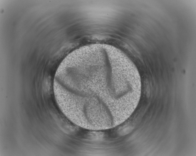 X0000088360328200706121101