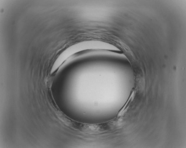 X0000088360329200706121101