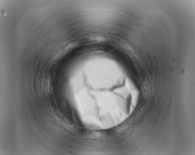 X0000088360330200706121101