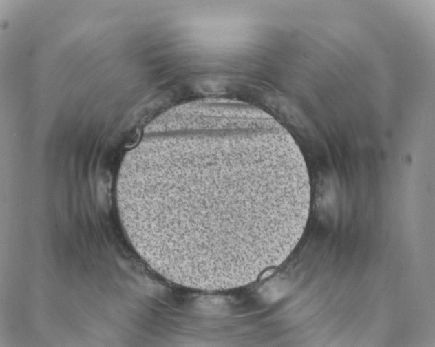 X0000088360332200706121101